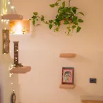 Casa Ameri 4* 올비아