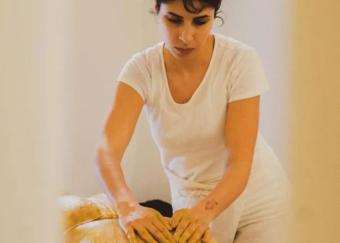 Casa Ameri オルビア