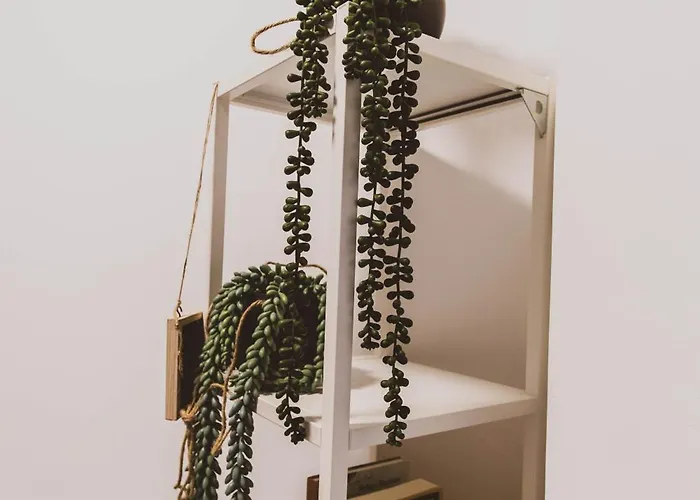 Casa Ameri オルビア